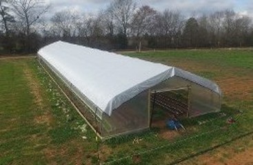 Cold Frame Structures